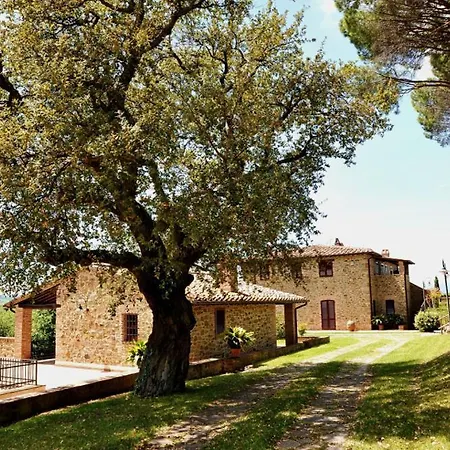 Popoltaio-schiacciato Sleeps 4 Pool T762690 *