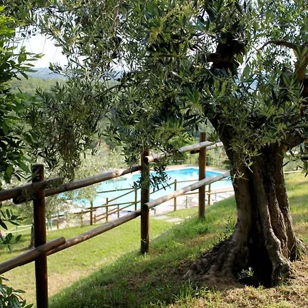 Popoltaio-schiacciato Sleeps 4 Pool T762690 Apartamento *